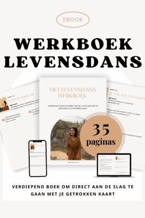 e-Werkboek 'Levensdans'